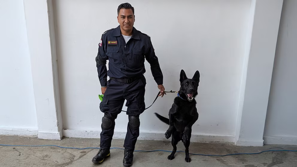 Togo puede encontrar personas en tres minutos -(@Bomberos_CDMX)