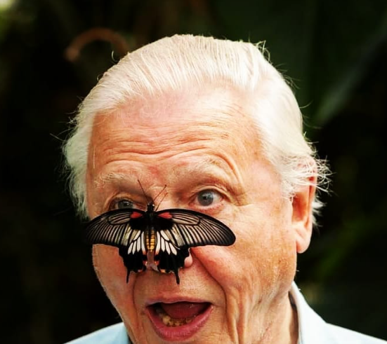 David Attenborough